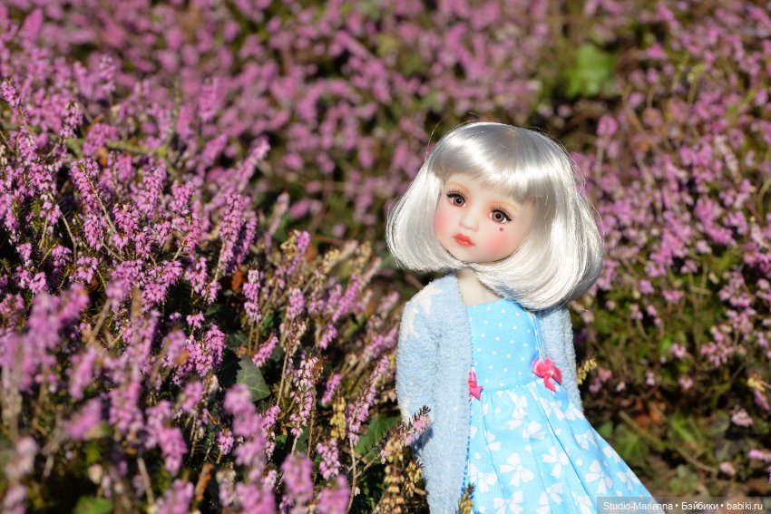 Сабрина и цветущая зима — Куклы Ruby Red (Руби Ред) Fashion Friends: Siblies