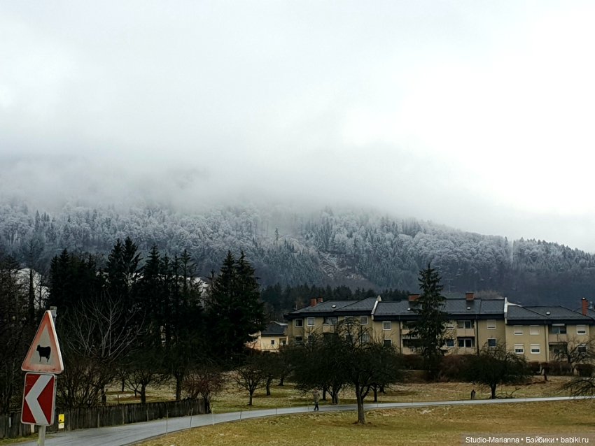 Сабрина и цветущая зима — Куклы Ruby Red (Руби Ред) Fashion Friends: Siblies