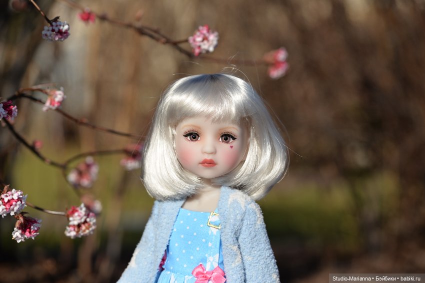 Сабрина и цветущая зима — Куклы Ruby Red (Руби Ред) Fashion Friends: Siblies