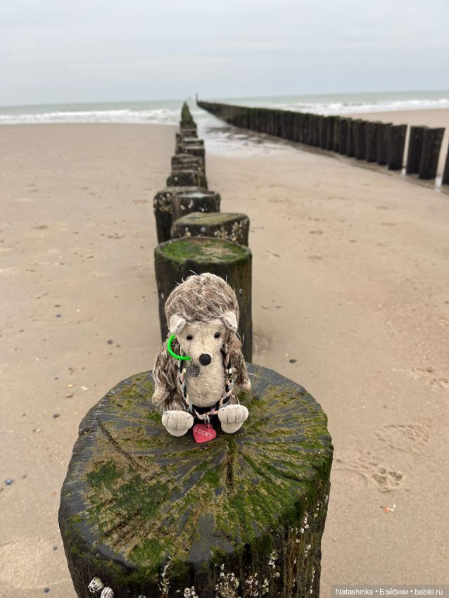 Fashion Dolls 473 — Туризм и путешествия: фотоотчеты из поездок (фото 6)