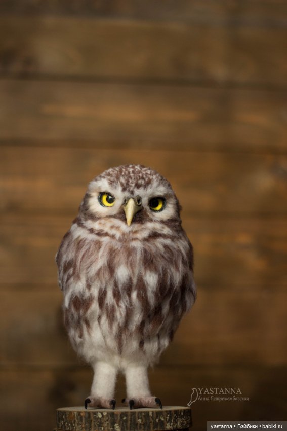 Сычик — Валяные игрушки из шерсти: сухое валяние