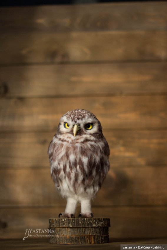 Сычик — Валяные игрушки из шерсти: сухое валяние