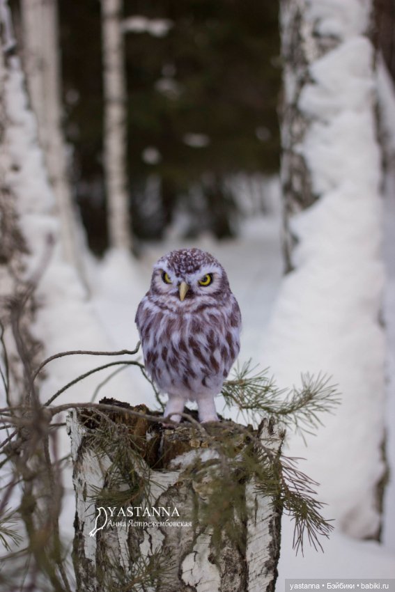 Сычик — Валяные игрушки из шерсти: сухое валяние