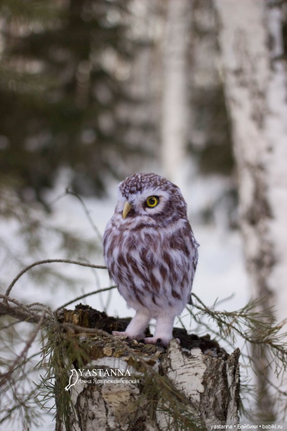 Сычик — Валяные игрушки из шерсти: сухое валяние