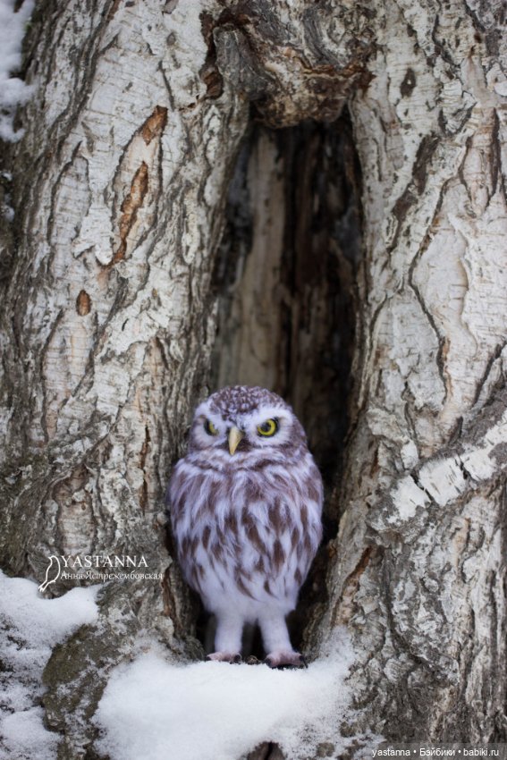Сычик — Валяные игрушки из шерсти: сухое валяние (фото 7)