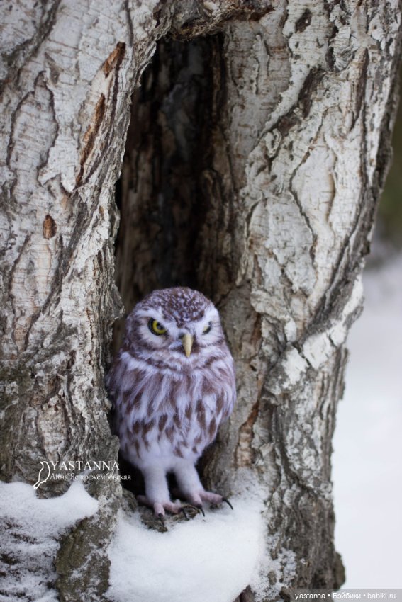 Сычик — Валяные игрушки из шерсти: сухое валяние (фото 6)
