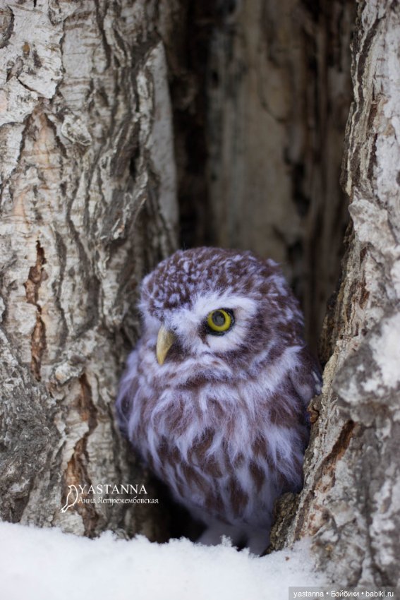 Сычик — Валяные игрушки из шерсти: сухое валяние (фото 4)