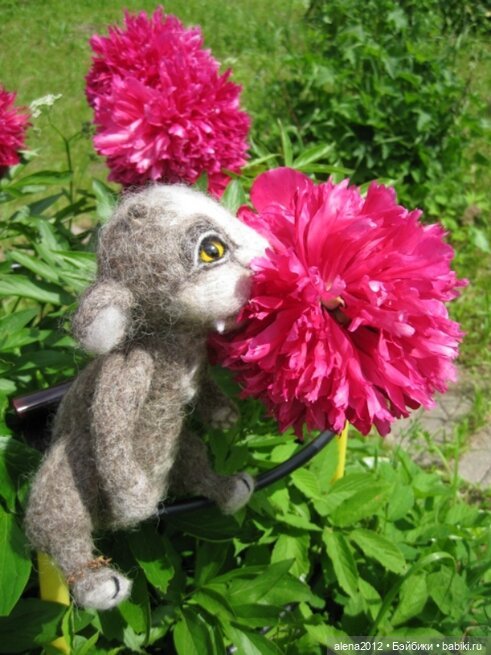 Кто-кто это живёт в саду — Наши хобби и творчество: вышивка