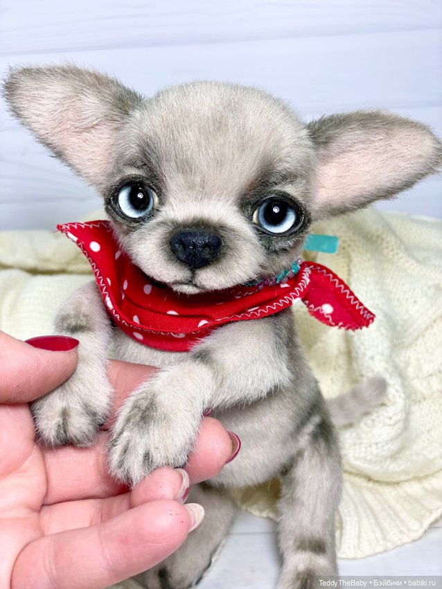 Алеф 🐾🐶😊 — Реалистичные игрушки и звери (Натюр): собаки (фото 9)