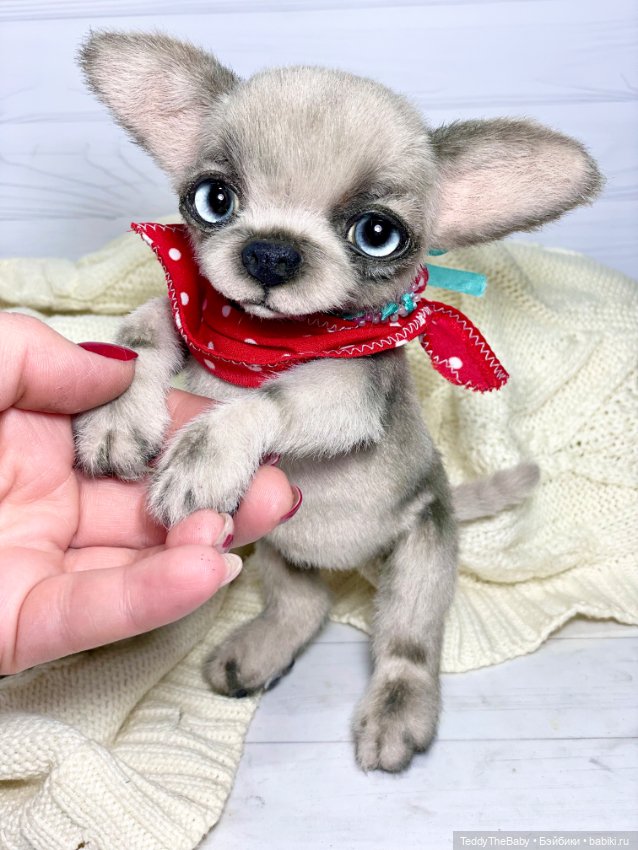 Алеф 🐾🐶😊 — Реалистичные игрушки и звери (Натюр): собаки