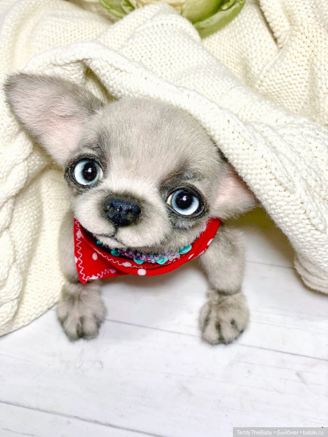 Алеф 🐾🐶😊 — Реалистичные игрушки и звери (Натюр): собаки (фото 2)