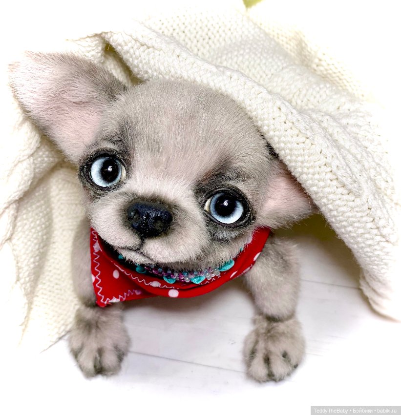 Алеф 🐾🐶😊 — Реалистичные игрушки и звери (Натюр): собаки