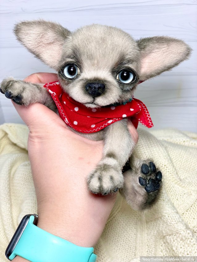 Алеф 🐾🐶😊 — Реалистичные игрушки и звери (Натюр): собаки