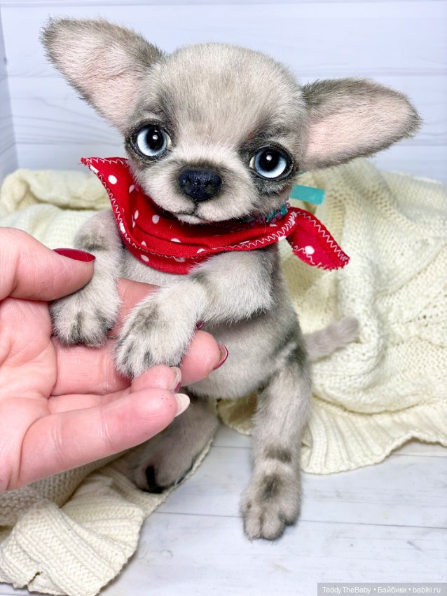 Алеф 🐾🐶😊 — Реалистичные игрушки и звери (Натюр): собаки (фото 10)