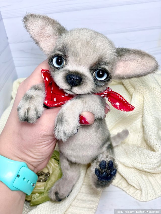 Алеф 🐾🐶😊 — Реалистичные игрушки и звери (Натюр): собаки (фото 4)