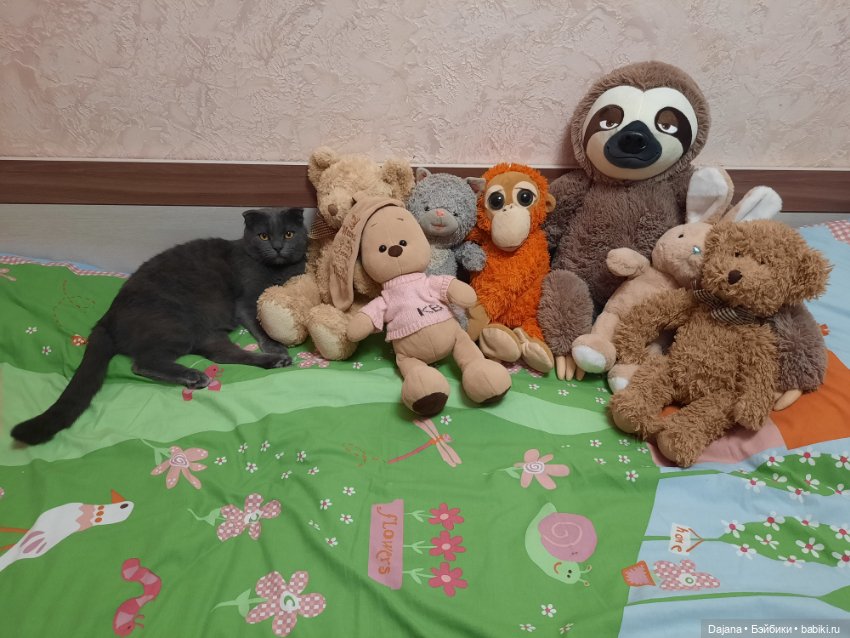 Игрушки Буди Баса — Кот Басик (фото 9)