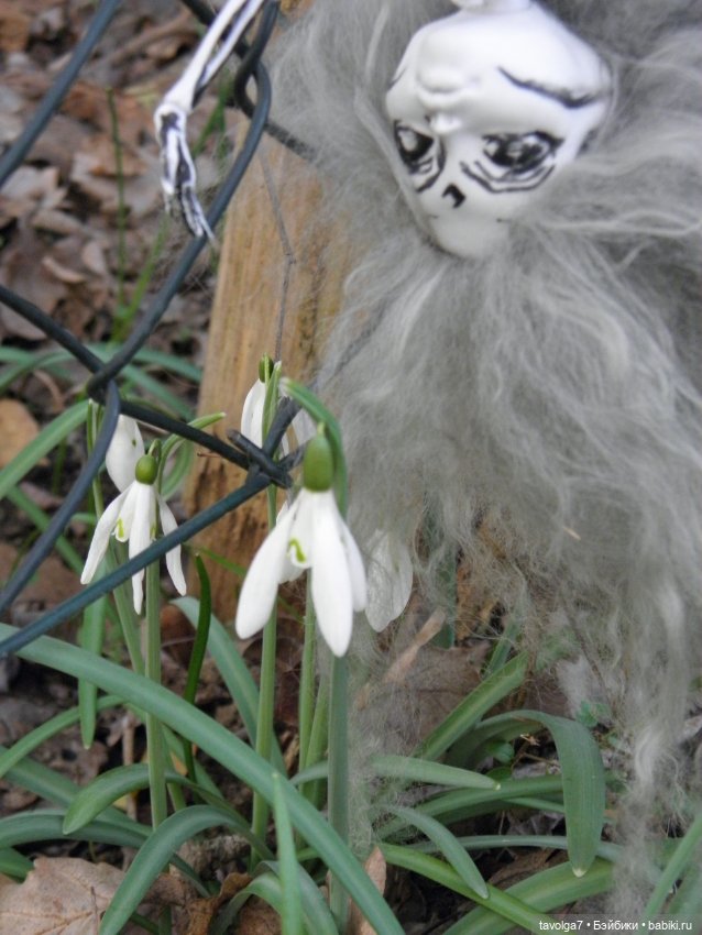 Имболк — Куклы и тела Obitsu (Обитсу): 1/6 (фото 9)