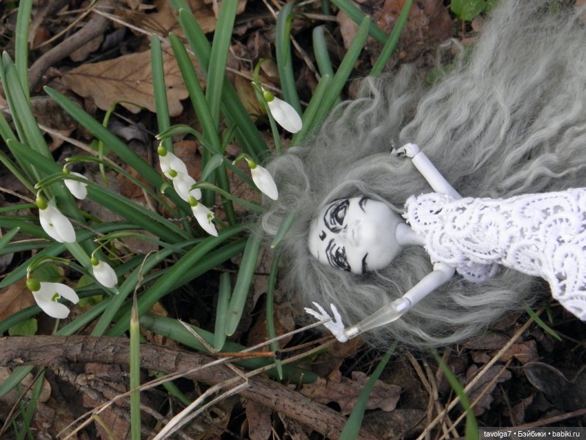 Имболк — Куклы и тела Obitsu (Обитсу): 1/6 (фото 10)