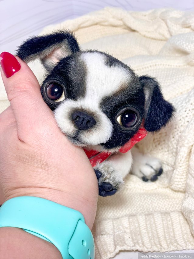 Oreo🐾🐾🐶 — Реалистичные игрушки и звери (Натюр): собаки