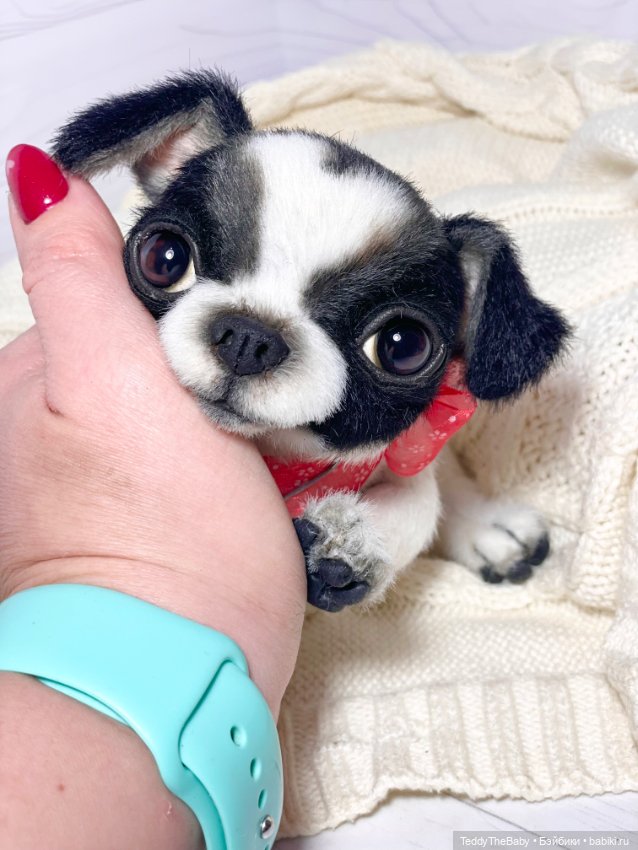 Oreo🐾🐾🐶 — Реалистичные игрушки и звери (Натюр): собаки