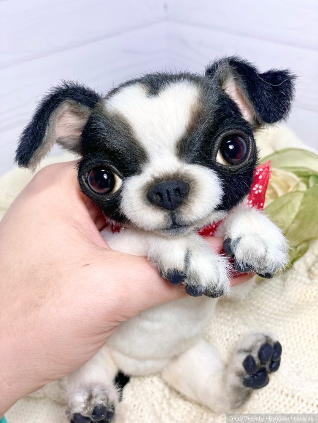 Oreo🐾🐾🐶 — Реалистичные игрушки и звери (Натюр): собаки (фото 5)
