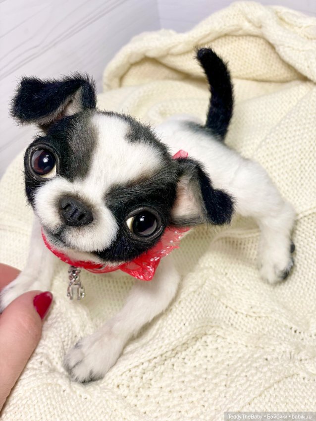 Oreo🐾🐾🐶 — Реалистичные игрушки и звери (Натюр): собаки (фото 3)