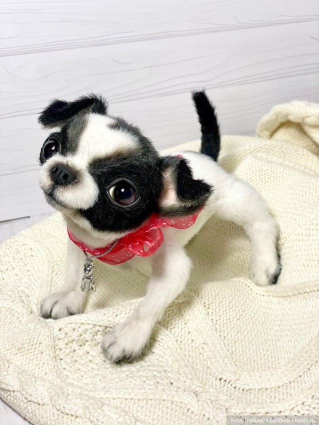 Oreo🐾🐾🐶 — Реалистичные игрушки и звери (Натюр): собаки (фото 4)