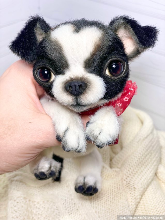 Oreo🐾🐾🐶 — Реалистичные игрушки и звери (Натюр): собаки (фото 7)