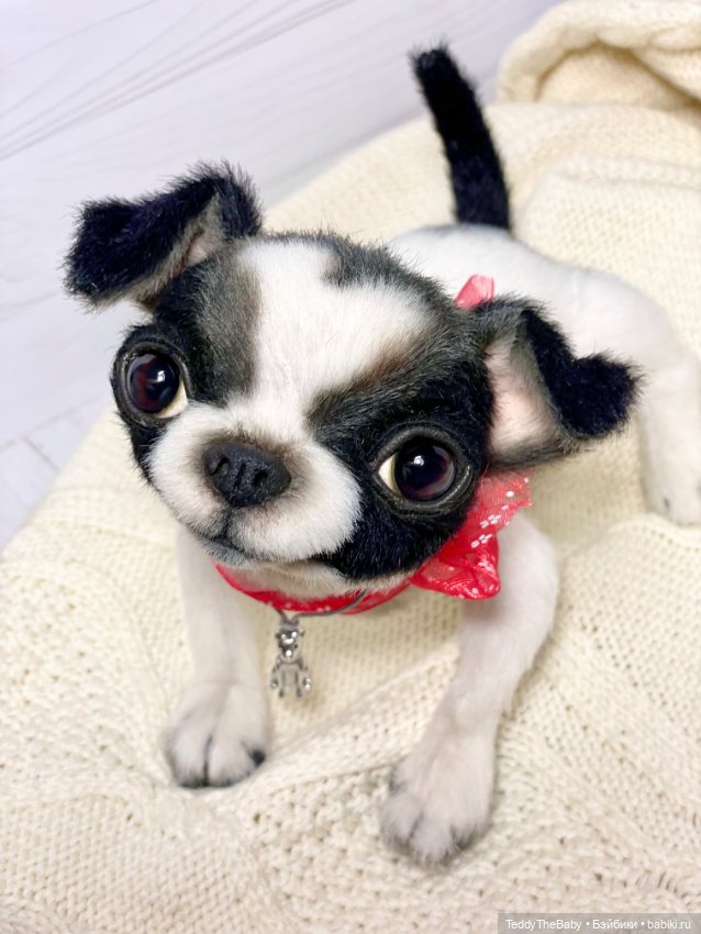 Oreo🐾🐾🐶 — Реалистичные игрушки и звери (Натюр): собаки