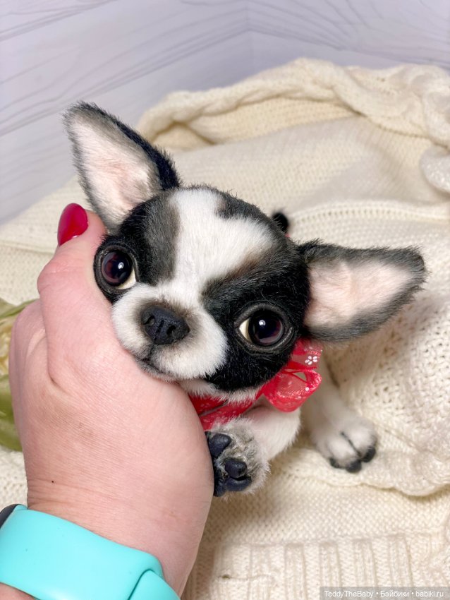 Oreo🐾🐾🐶 — Реалистичные игрушки и звери (Натюр): собаки