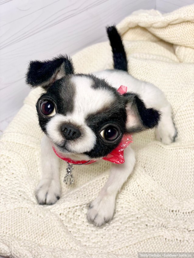 Oreo🐾🐾🐶 — Реалистичные игрушки и звери (Натюр): собаки