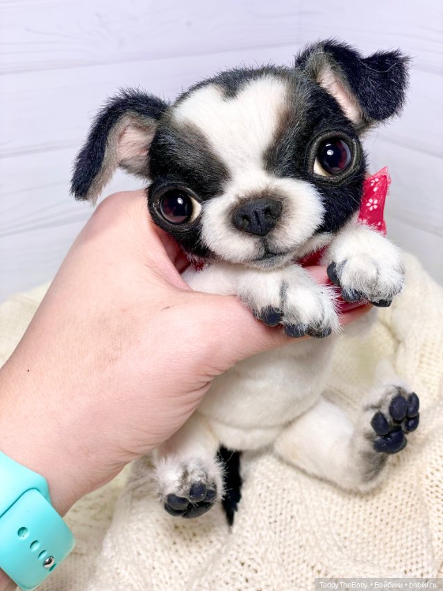 Oreo🐾🐾🐶 — Реалистичные игрушки и звери (Натюр): собаки