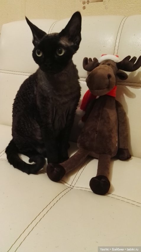 Веселенький топик о приезде новеньких (фото 6)