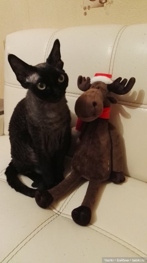 Веселенький топик о приезде новеньких