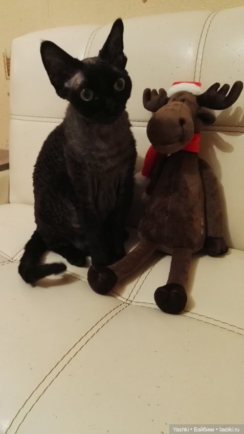 Веселенький топик о приезде новеньких (фото 5)