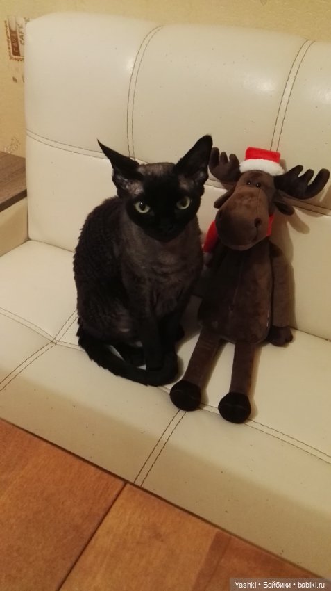 Веселенький топик о приезде новеньких (фото 4)