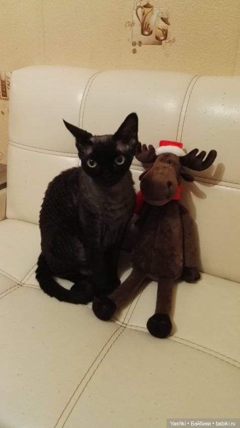 Веселенький топик о приезде новеньких (фото 2)