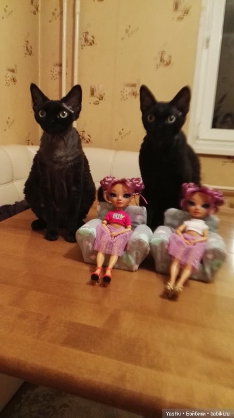 Веселенький топик о приезде новеньких (фото 7)