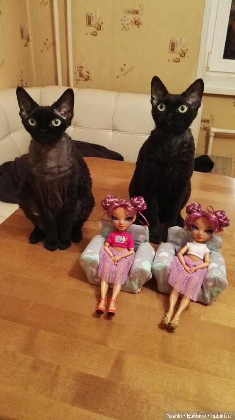 Веселенький топик о приезде новеньких (фото 8)