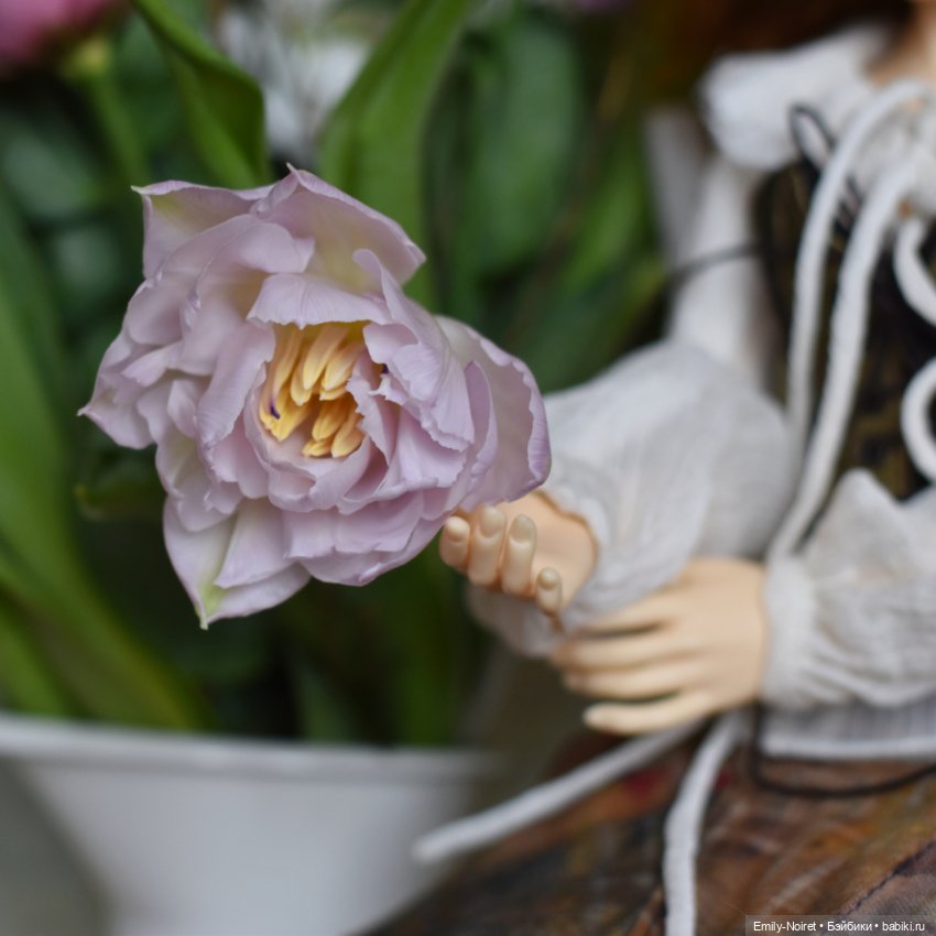 Алесса и букет — Куклы Souldoll (Соулдолл): BJD (БЖД) (фото 2)