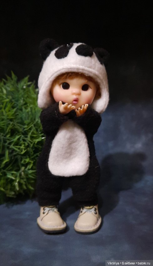 Пандёныш. ob11 — Куклы и тела Obitsu 11 (Ob11): гибриды