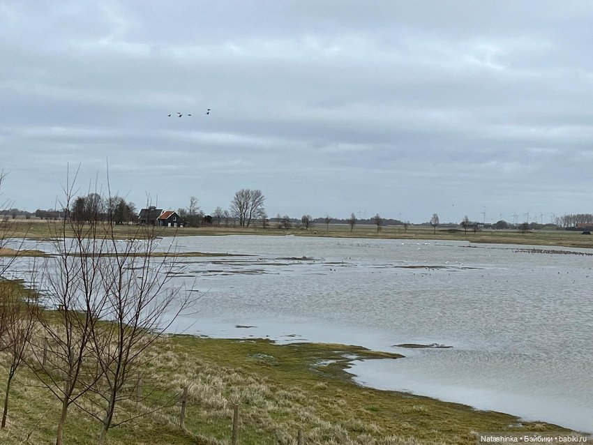 Fashion Dolls 475 — Туризм и путешествия: фотоотчеты из поездок