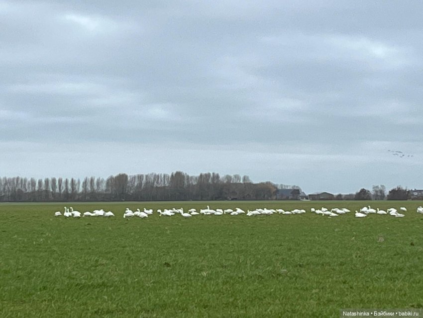 Fashion Dolls 475 — Туризм и путешествия: фотоотчеты из поездок