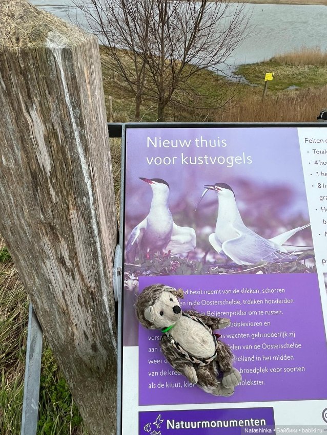 Fashion Dolls 475 — Туризм и путешествия: фотоотчеты из поездок