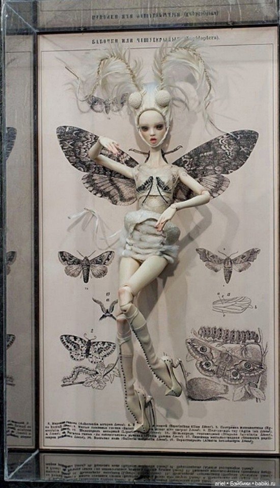 Бабочки или чешуекрылые от неподражаемых сестер Поповых (фото 3)