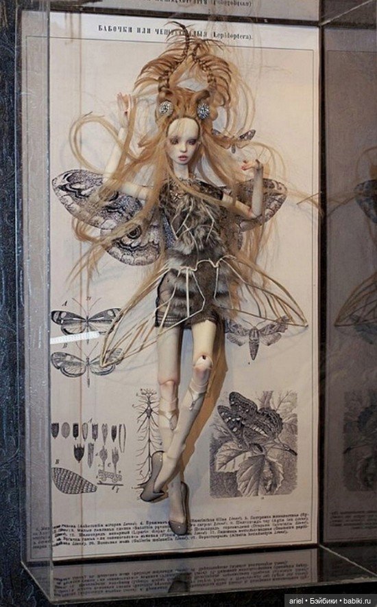 Бабочки или чешуекрылые от неподражаемых сестер Поповых