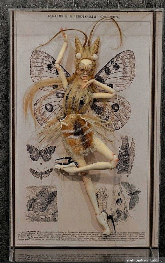 Бабочки или чешуекрылые от неподражаемых сестер Поповых (фото 6)