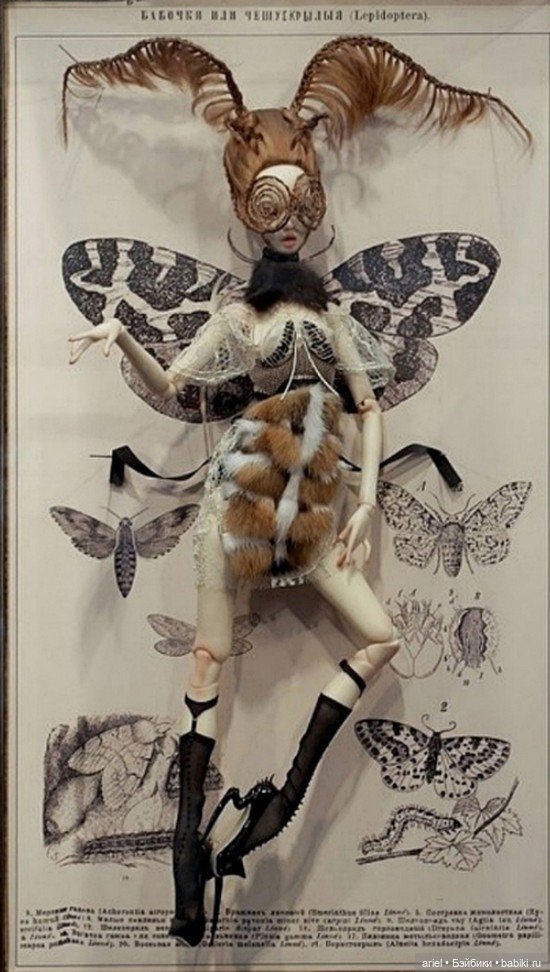 Бабочки или чешуекрылые от неподражаемых сестер Поповых (фото 2)