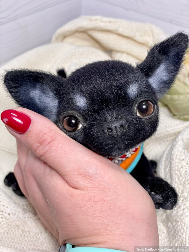 Mishka 🐾 — Реалистичные игрушки и звери (Натюр): собаки (фото 2)