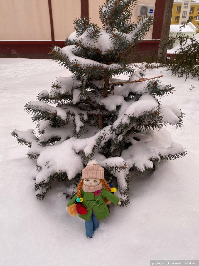 Мой карманный дружочек…Мэри Миадолла. И ее первая прогулка (фото 2)